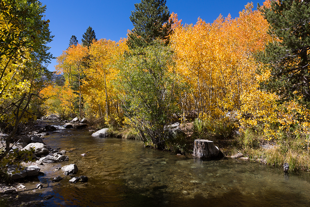 10-02 - 04.jpg - Middle Fork Bishop Creek